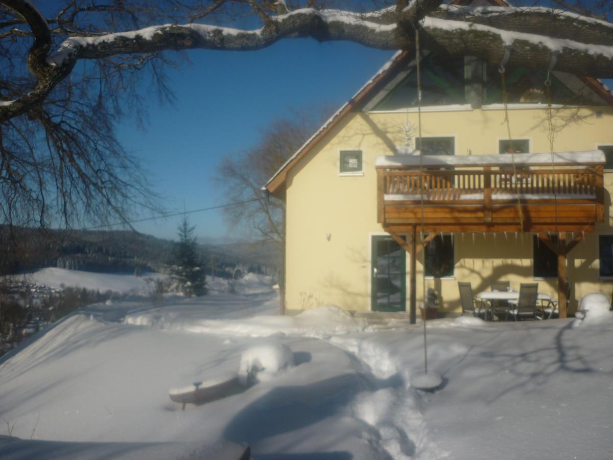 Ferienwohnung Lämpelberg Klingenthal Exterior foto